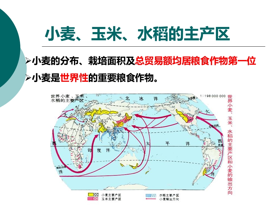 《小麦与面粉》PPT课件.ppt_第3页