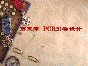 《PCR引物设计》PPT课件.ppt