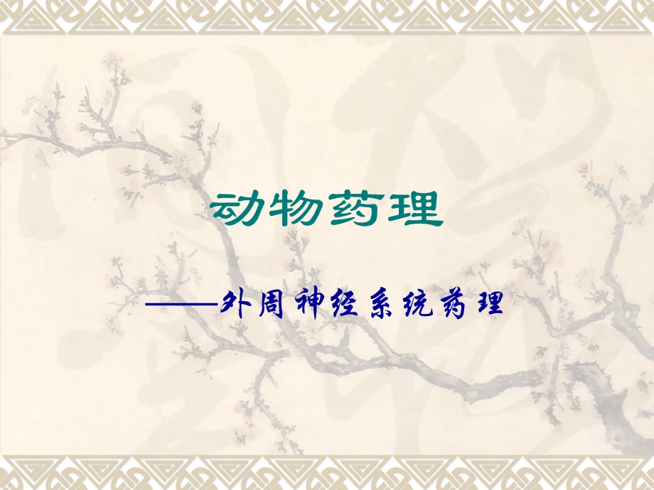 《外周神经》PPT课件.ppt_第1页