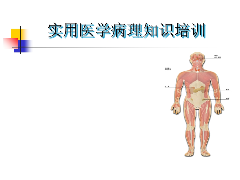 《医学病理知识》PPT课件.ppt_第1页