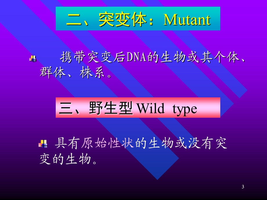 五章节突变Mutation.ppt_第3页