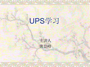 《UPS入门介绍》PPT课件.ppt