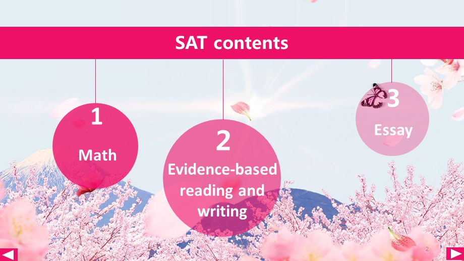 《SAT写作简介》PPT课件.ppt_第2页