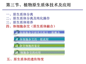 《原生质体融合》PPT课件.ppt