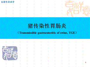 《传染性胃肠炎》PPT课件.ppt