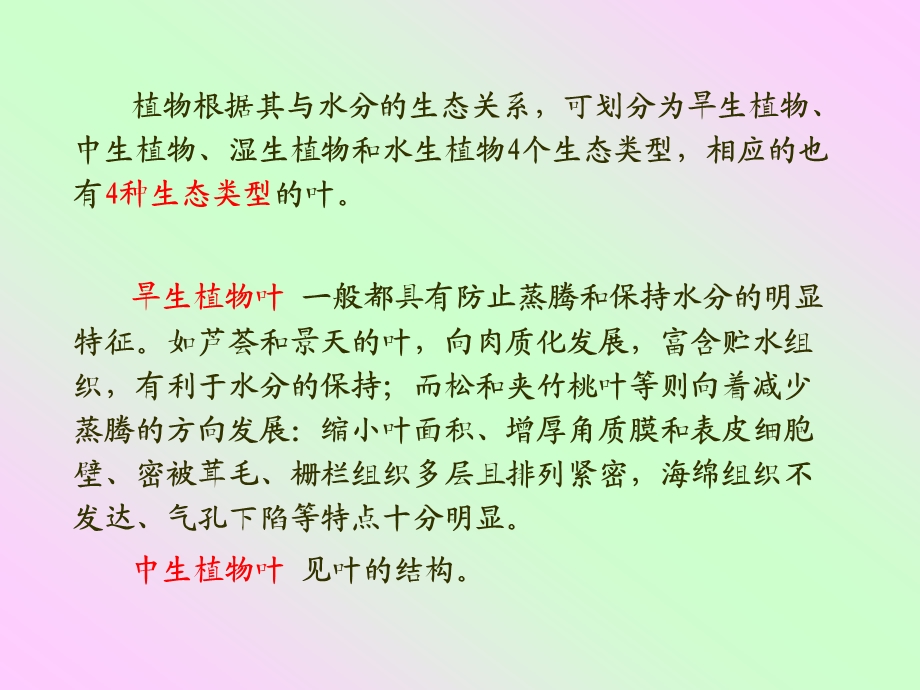 研究性实验三不同生境下植物叶片形态结构的比较观察.ppt_第2页