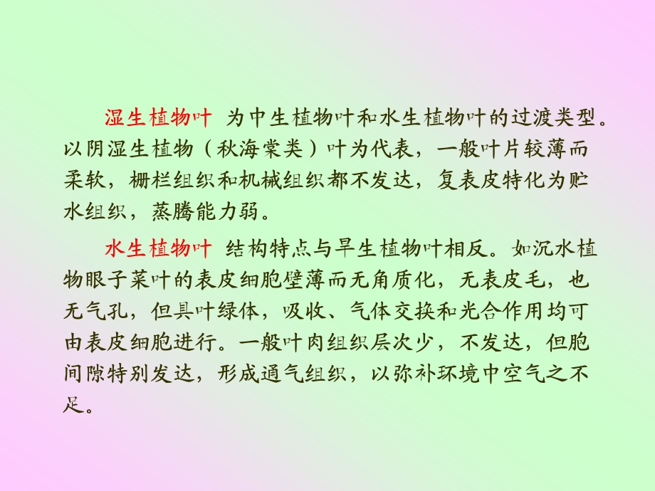 研究性实验三不同生境下植物叶片形态结构的比较观察.ppt_第3页