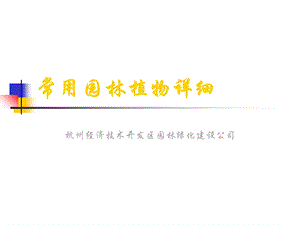 《常用园林植物详细》PPT课件.ppt