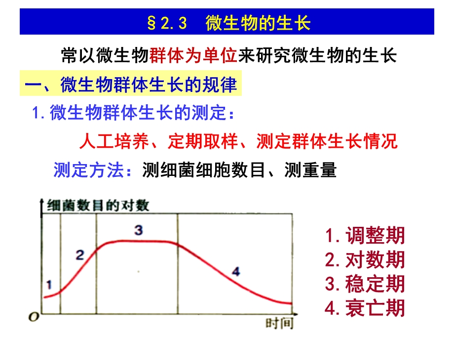 《微生物与发酵工程》PPT课件.ppt_第2页