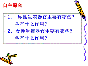 《人的消化系统》PPT课件.ppt