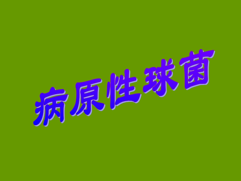 《常见致病菌》PPT课件.ppt_第2页