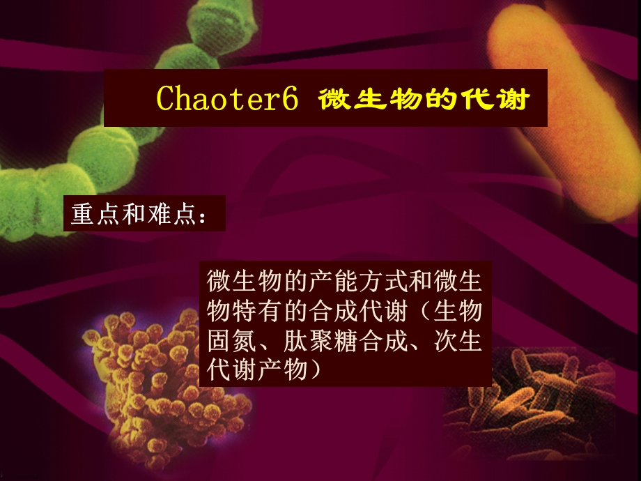 《微生物的代谢》PPT课件.ppt_第1页