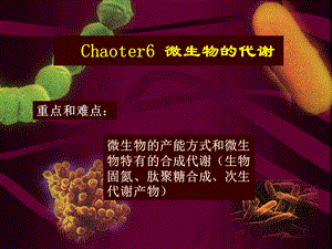 《微生物的代谢》PPT课件.ppt