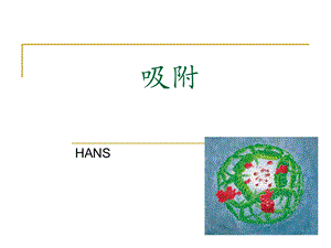 《吸附原理及应用》PPT课件.ppt