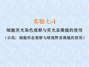 实验七、荧光显微镜及激光扫描共聚焦显微镜使用.ppt