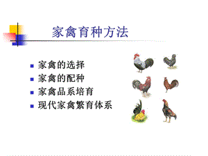 《家禽育种方法》PPT课件.ppt