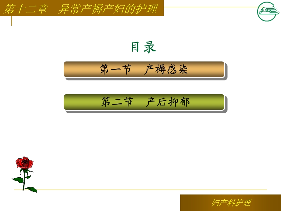 《妇产科护理》PPT课件.ppt_第3页