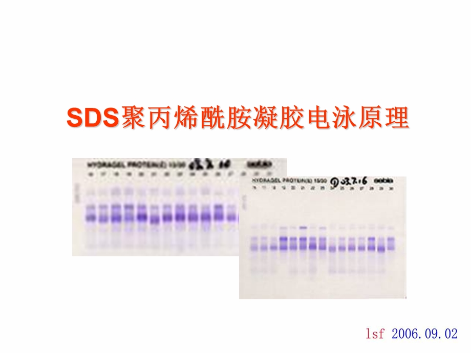 《SDSPAGE原理》PPT课件.ppt_第1页