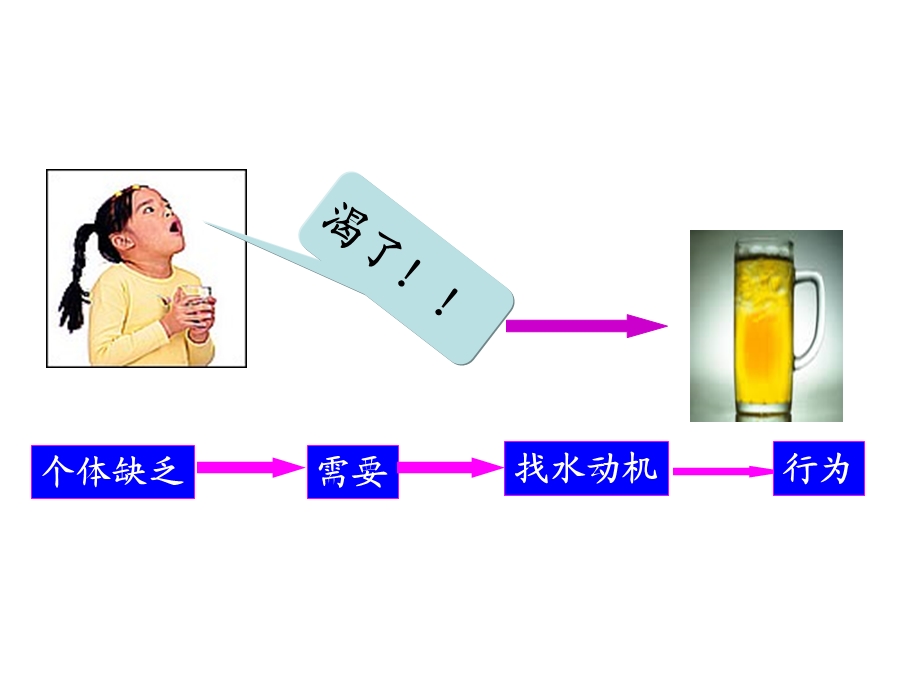 组织22个体心理与行为.ppt_第3页