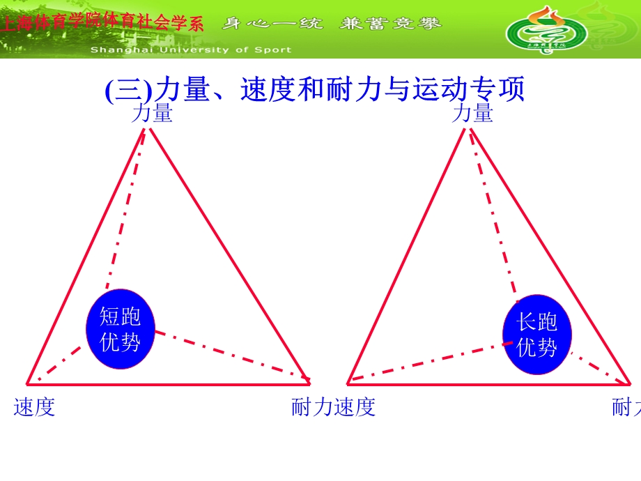 《体能训练新探》PPT课件.ppt_第3页