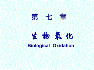 中药chapter 7 biological oxidation.ppt