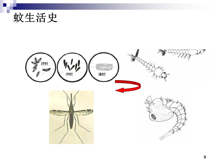 《媒介形态鉴别》PPT课件.ppt_第3页