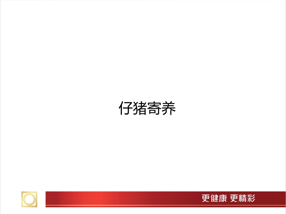 仔猪寄养管理.ppt_第1页