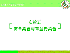 实验五、简单染色与革兰氏染色.ppt