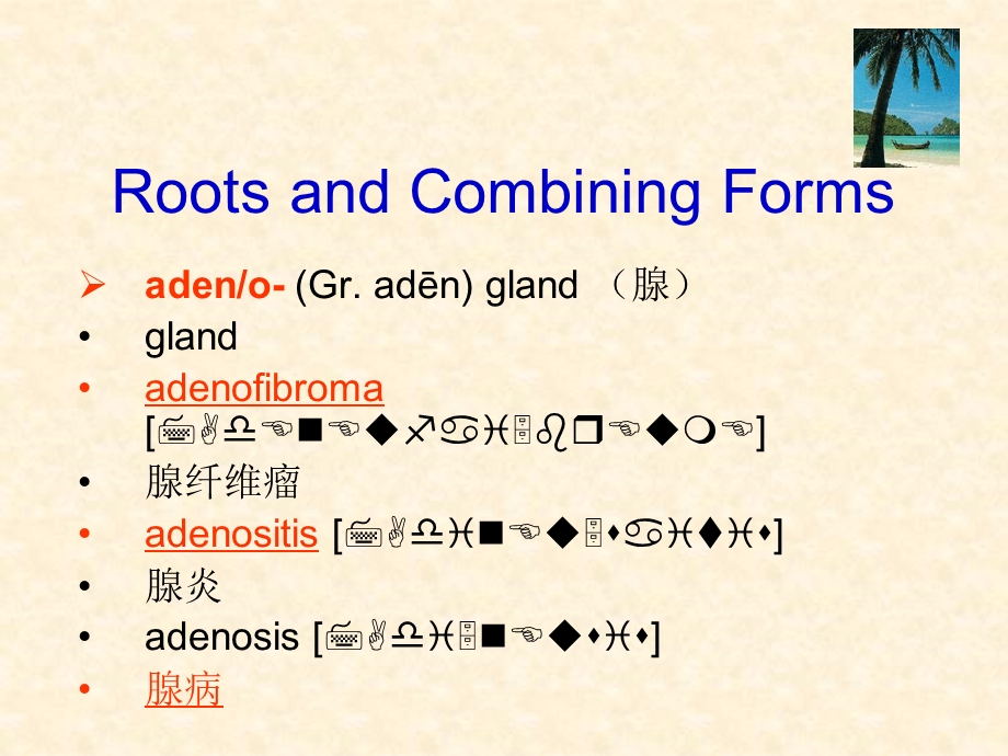 《医学术语词根》PPT课件.ppt_第3页