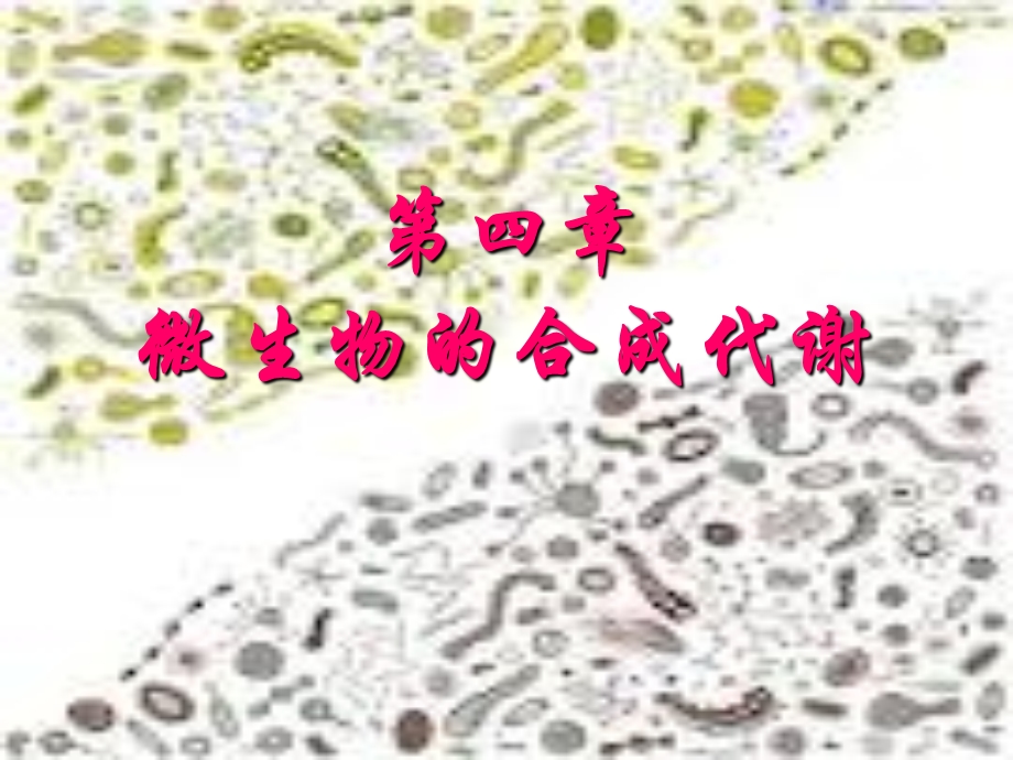 《微生物的合成代谢》PPT课件.ppt_第1页