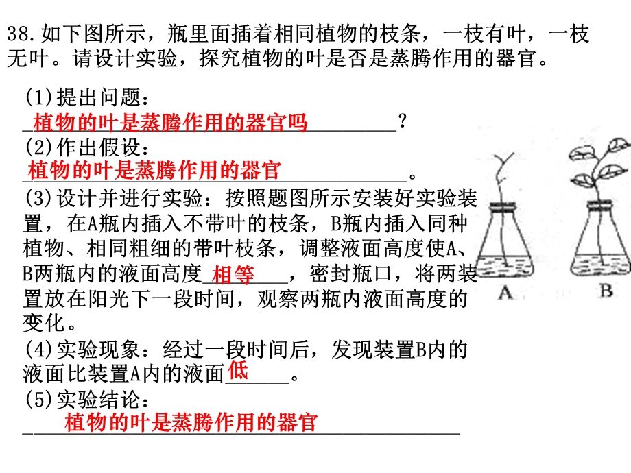 《光合呼吸习题》PPT课件.ppt_第2页