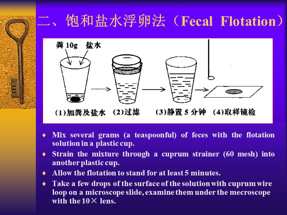 《寄生虫实验》PPT课件.ppt_第3页