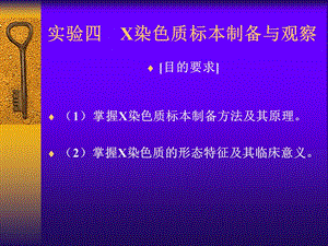 实验四X染色质标本制备与观察.ppt