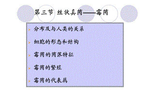 《丝状真菌霉菌》PPT课件.ppt