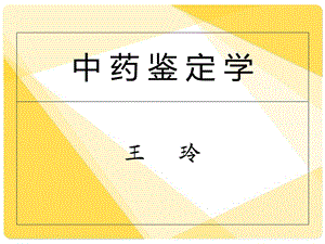 《中药鉴定技术》PPT课件.ppt