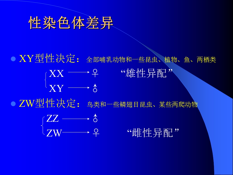 《伴性遗传补充》PPT课件.ppt_第2页