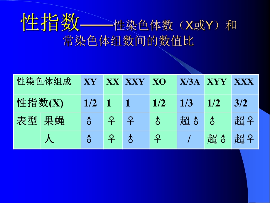 《伴性遗传补充》PPT课件.ppt_第3页