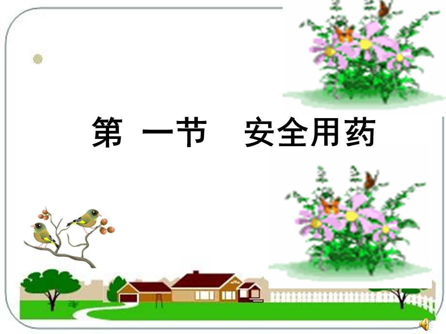 《安全用药》PPT课件.ppt_第3页