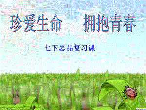 《思品珍爱生命》PPT课件.ppt