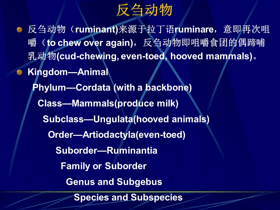 《动物消化吸收》PPT课件.ppt_第2页