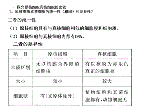 真核细胞与原核细胞.ppt