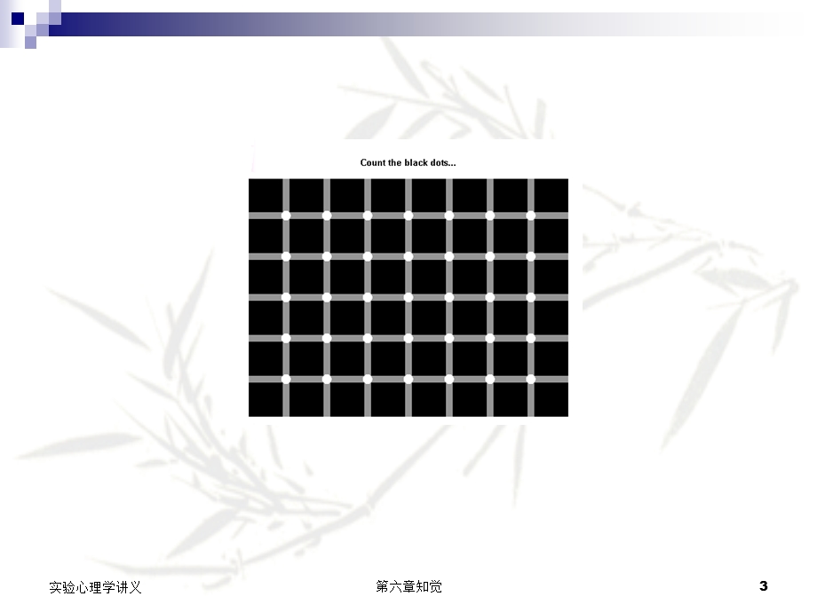 实验心理学第六章 知觉.ppt_第3页
