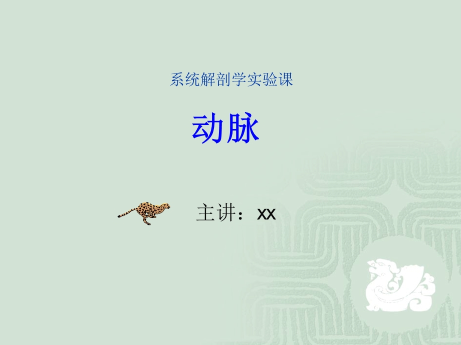 《动脉系解》PPT课件.ppt_第1页