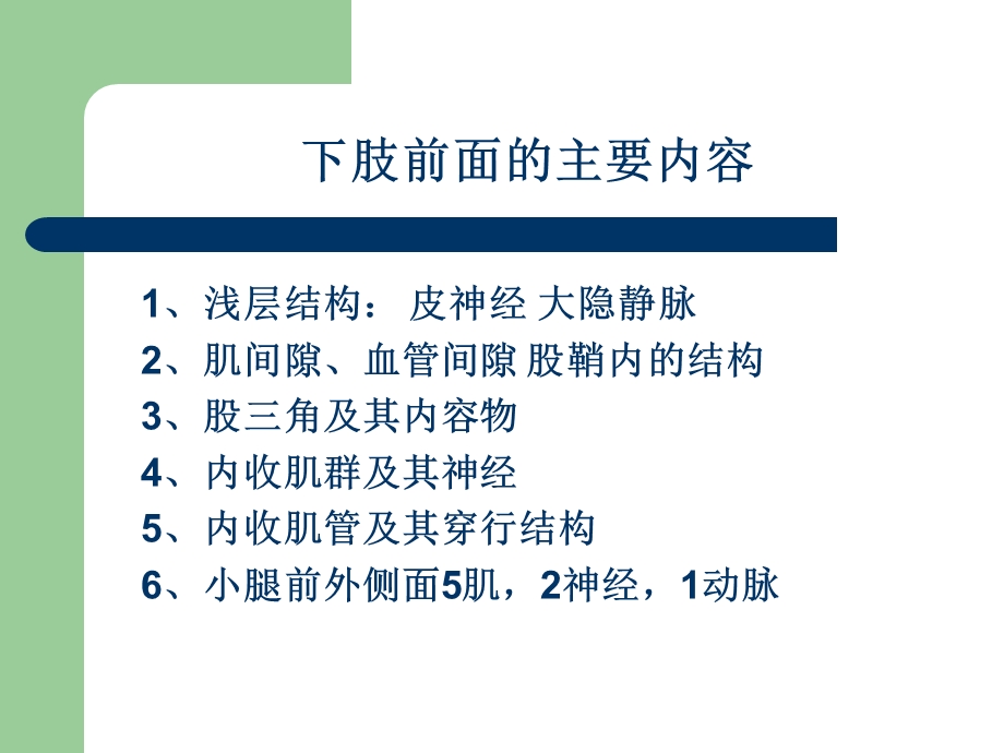 《下肢局部解剖》PPT课件.ppt_第2页