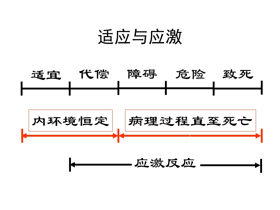 《微生态制剂》PPT课件.ppt_第2页