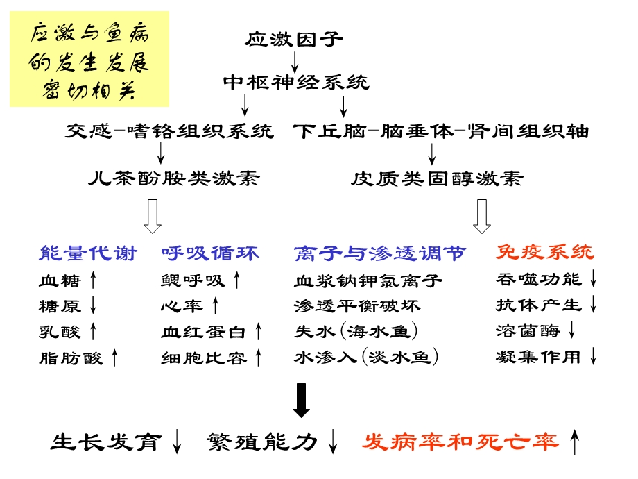 《微生态制剂》PPT课件.ppt_第3页