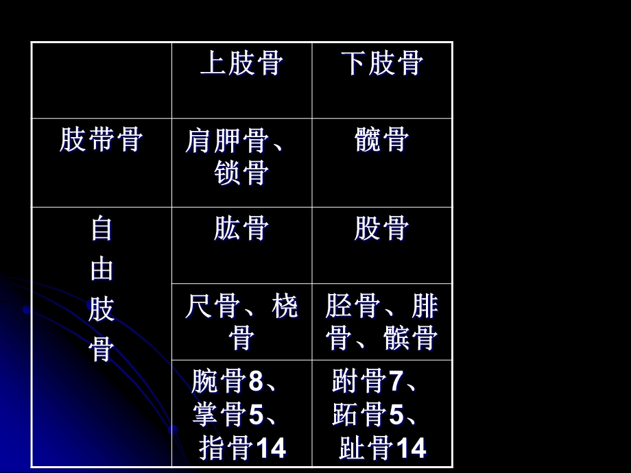 《上肢骨及其连结》PPT课件.ppt_第2页