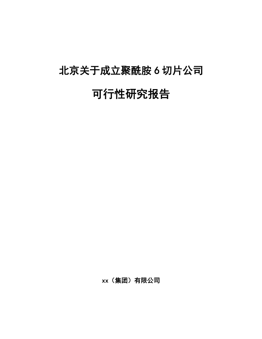 北京关于成立聚酰胺6切片公司可行性研究报告.docx_第1页