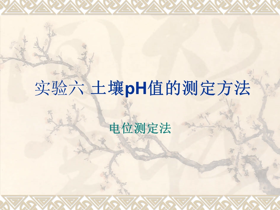 《土壤PH值测定》PPT课件.ppt_第1页