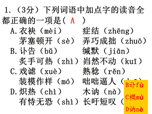 《基础知识训练》PPT课件.ppt